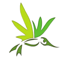 Cannabis Education